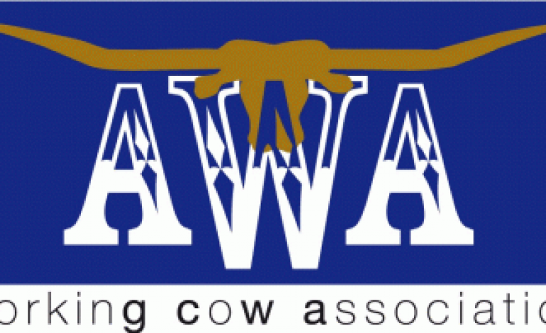 Tentés de jouer avec les vaches ? L’AWA vous attend…
