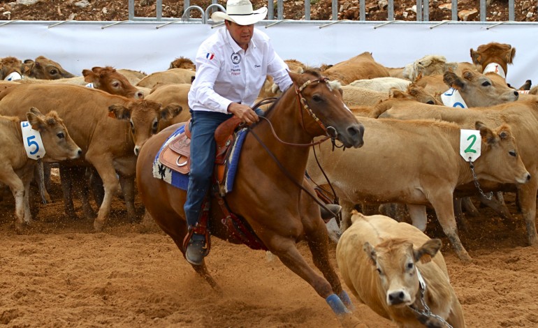 World Team Penning & Ranch Sorting