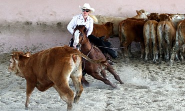 La NCHA of France a dévoilé son calendrier 2015...