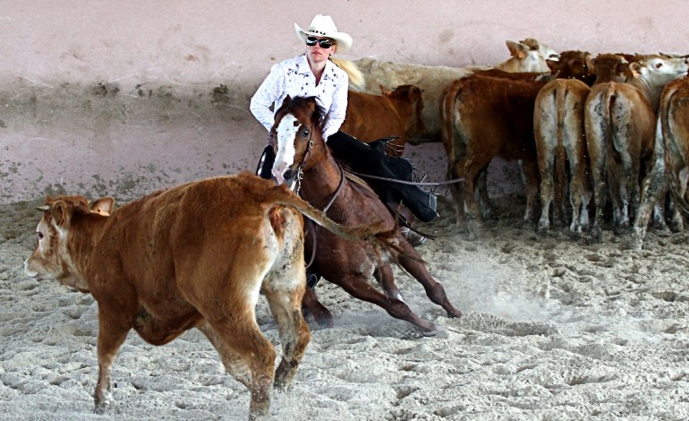 La NCHA of France a dévoilé son calendrier 2015…