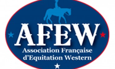 Assemblée Générale AFEW 2015