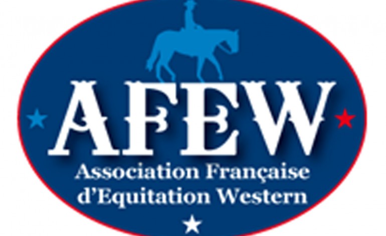 Assemblée Générale AFEW 2015