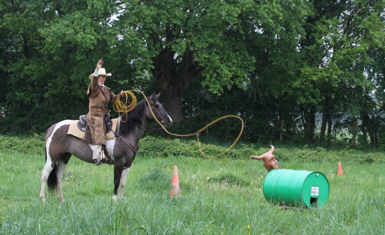 Contigné (49) – 25/26 avril 2015 - Première manche Versatile Ranch Horse de la RHA