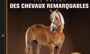 Des chevaux remarquables