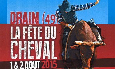 Ce sera la Fête du Cheval – western - à Drain (49) début août 2015