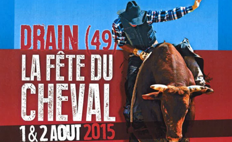 Ce sera la Fête du Cheval – western - à Drain (49) début août 2015