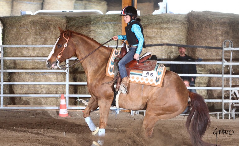 Reining à Entraigues (84) – 11 et 12 avril 2015 – Roux Spring Slide