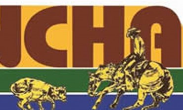 Cutting NCHA of France – 25 et 26 avril - Concours à Bons en Chablais (74) chez Charmot Quarter Horse