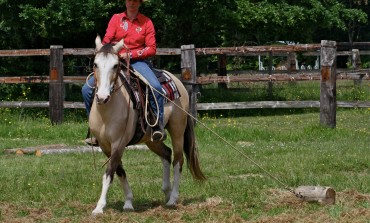 Acigné (35) – 23/24 mai 2015 – deuxième manche du Versatile Ranch Horse de la RHA