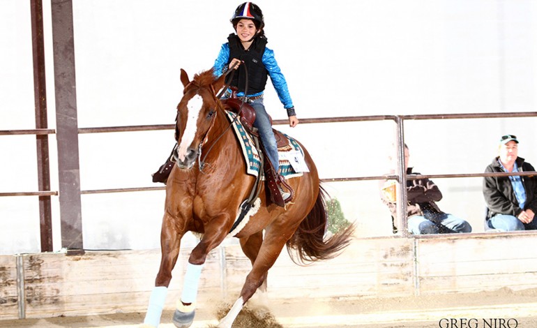 Reining à Senas (13) > Jacs Little Pine Memorial & FBRP – LN Horses – 22 au 24 mai 2015