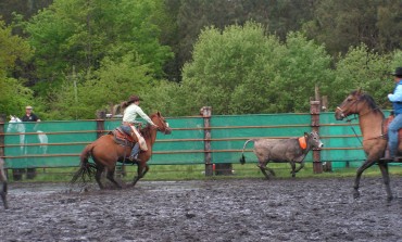 Première manche du Team Penning de l’ATB à Saint-Hélène (33) – 2/3 mai 2015