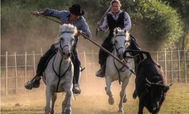 Les Chevaux du Sud reviennent…