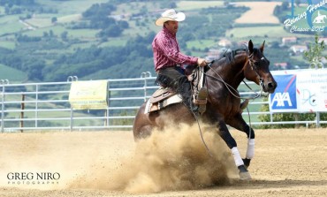 DC Reining Horses Classic - Cellieu (42) – Domaine de Chaboud – 26 au 28 juin 2015