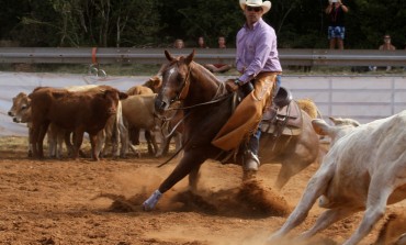 Randals Bison à Lanuejols (30) : Authentic Cowboys