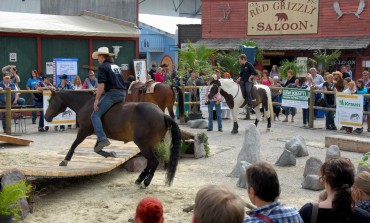 Americana 2015, 400 cavaliers et 500 chevaux en compétition