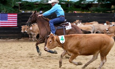 Championnat du Monde de team penning et de ranch sorting à Montarnaud (34)