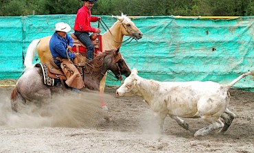 Versatile Ranch Horse (VRH) Cup au Petit Auverné (44) – 22/23 août 2015