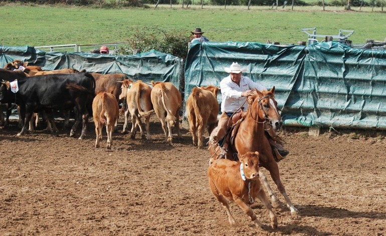 Bientôt la finale du challenge SDWA 2015