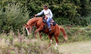 Finales du Challenge Versatile Ranch Horse de la RHA – Contigné (49) - 3 & 4 octobre 2015