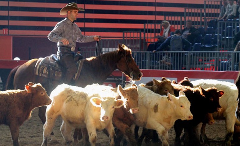 Equita Cutting...