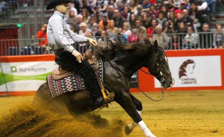 Equita Reining...