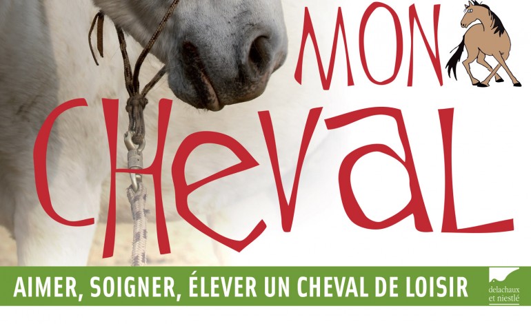 Tout pour mon cheval