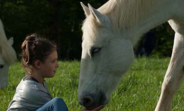 Le cheval médiateur