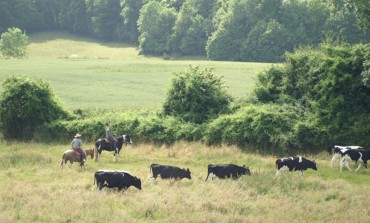 Devenez l’animateur d’une structure équestre en Normandie !