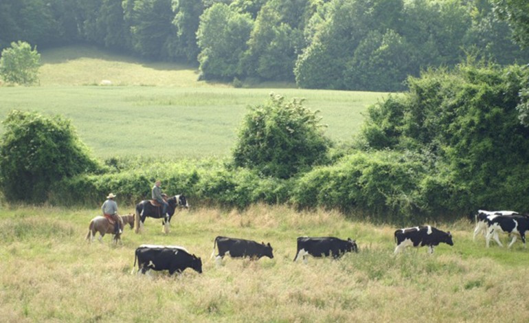 Devenez l’animateur d’une structure équestre en Normandie !