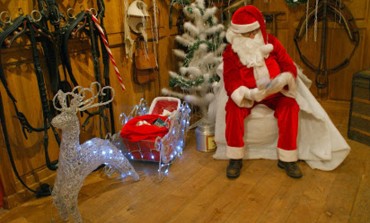 C’est Noël à l’écurie à Lamballe (22)