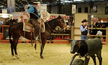 Le Salon du Cheval de Paris présente ce week-end un magnifique programme western