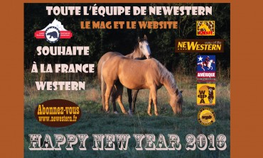 Beaucoup de bonheurs en 2016 !