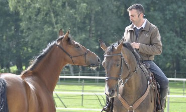 En mars, on apprend à éduquer le jeune cheval !