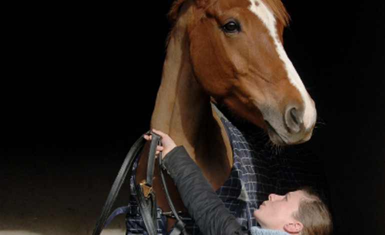 Ouvrir sa structure équestre aux handicapés