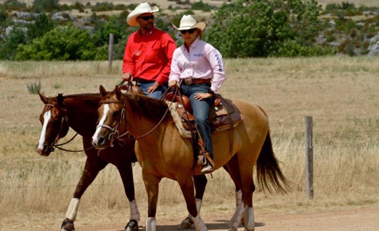 Le week-end prochain, venez nombreux au Winter Trophy de ranch sorting à Maillane (13)