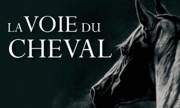 Quand le cheval vous conduit vers la sagesse