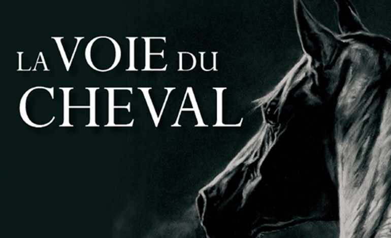 Quand le cheval vous conduit vers la sagesse