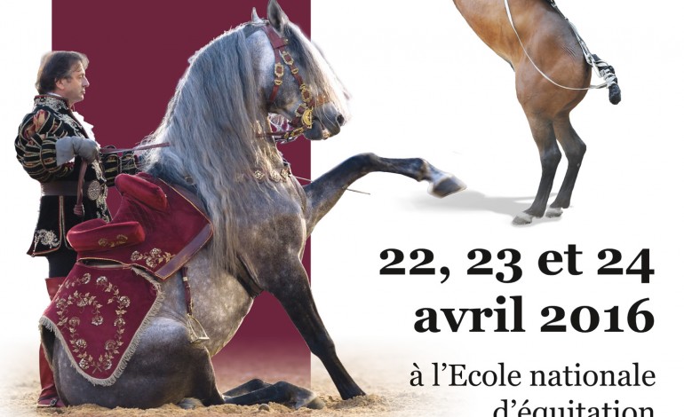 Le Cadre noir et Mario Luraschi dans le même manège fin avril 2016