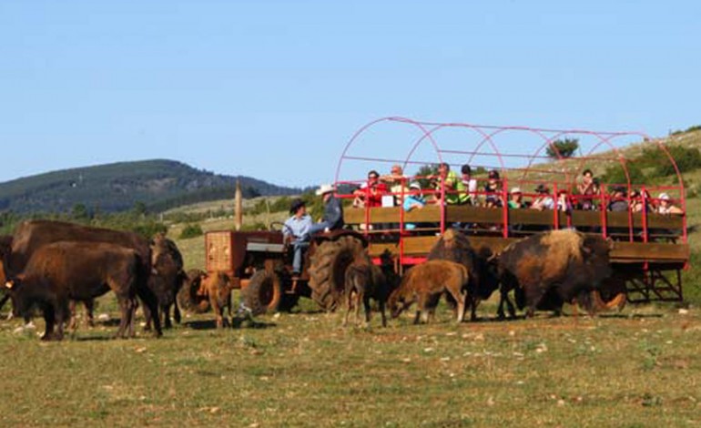 Prenez dates avec Randals Bison à Lanuejols (30) et… à Montpellier (34)