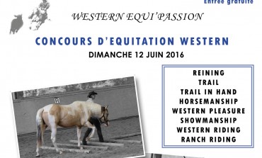Concours d’équitation western à Retschwiller (67) le 12 juin 2016