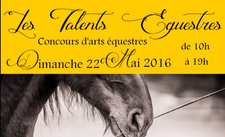 Les arts équestres se donnent en spectacle en Alsace le 22 mai 2016