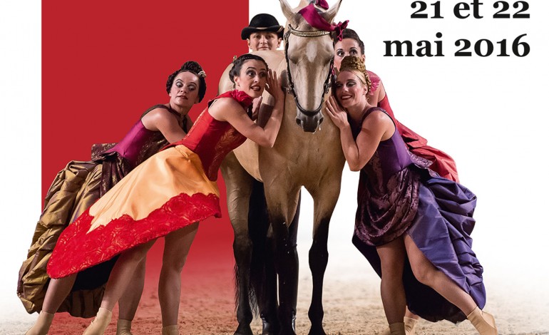 Les chevaux mènent la danse à Saumur