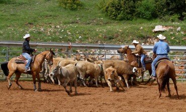 Lanuejols (30) – Randals Bison – 2ème manche du championnat AFET – 21 et 22 mai 2016 – les photos…