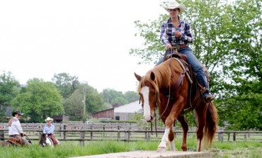 Acigné (35) - Challenge Versatile Ranch Horse de la Ranch Horse Association - 14 et 15 mai 2016