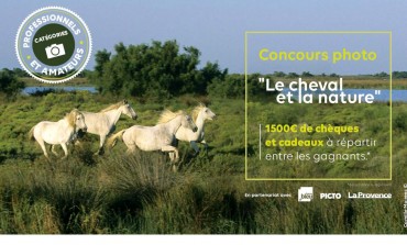 Concours photo interactif : partagez vos clichés et/ou votez sans attendre !