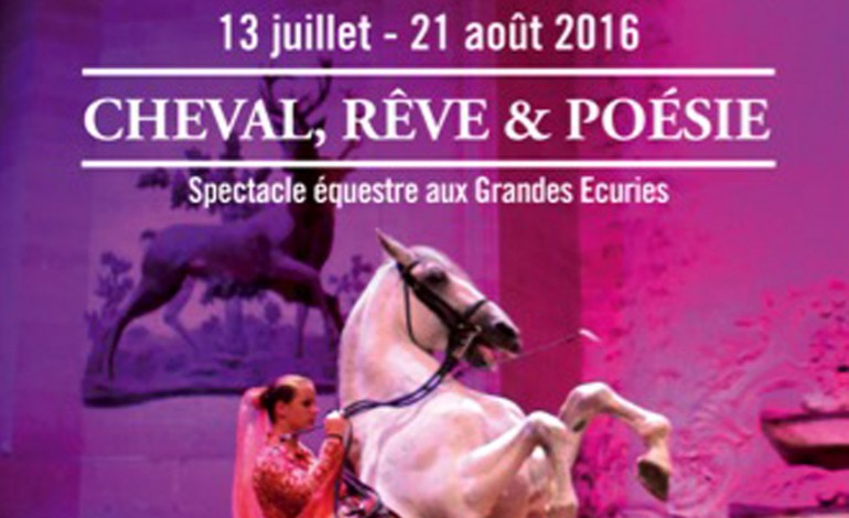Les jeunes chevaux entrent en piste cet été sous le dôme des Grandes Ecuries de Chantilly