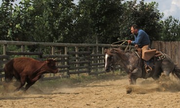 Versatile Ranch Horse - Contigné (49) – RHA deuxième manche – 25 et 26 juin 2016
