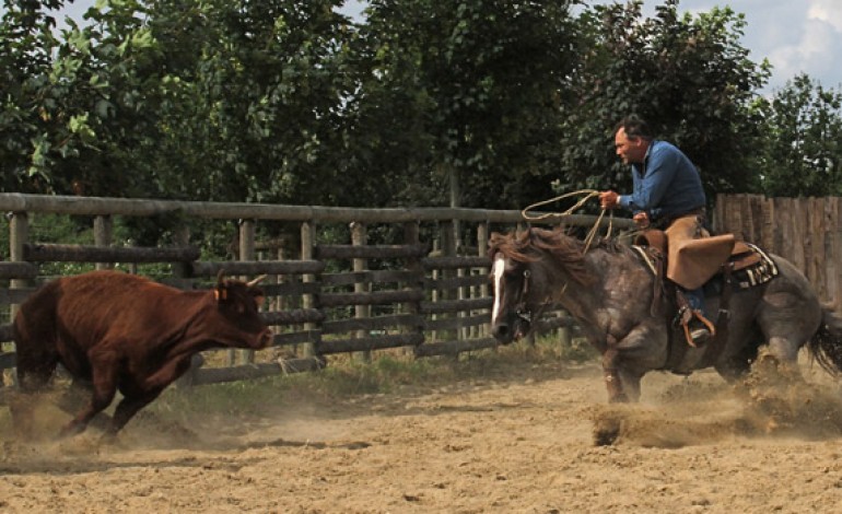 Versatile Ranch Horse - Contigné (49) – RHA deuxième manche – 25 et 26 juin 2016