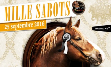 Cavaliers bretons, Lamballe (Côtes d’Armor) vous attend !