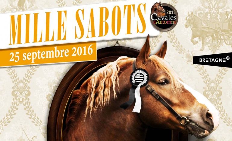 Cavaliers bretons, Lamballe (Côtes d’Armor) vous attend !